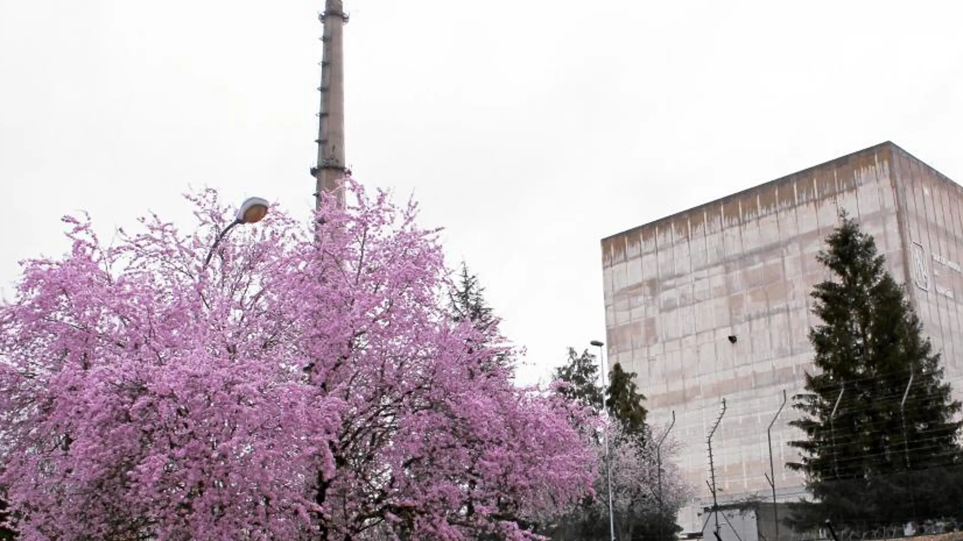 La central de Garoña, en el Valle de Tobalina, al norte de Burgos, es la más antigua y pequeña del parque nuclear