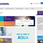 La web de Acosol, se ha modernizado y brinda al usuario la oportunidad de consultarla tanto en español como en inglés / Foto: La Razón