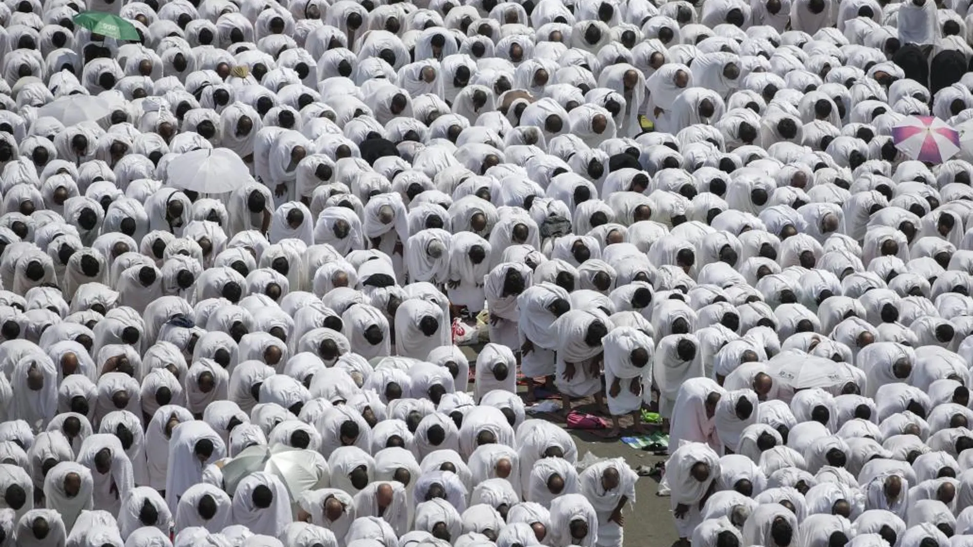 Miles de peregrino durante el rezo en la mezquita de Nimra