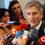 El ministro del Interior, Fernando Grande-Marlaska, realiza declaraciones a la prensa antes de comparecer en el Congreso / Foto: Efe