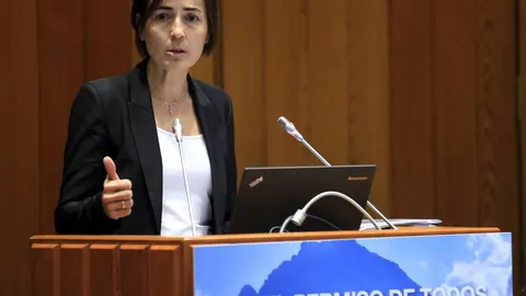 Directora general de Tráfico, María Seguí, que hoy ha presentado su renuncia al ministro del Interior, Jorge Fernández Díaz.