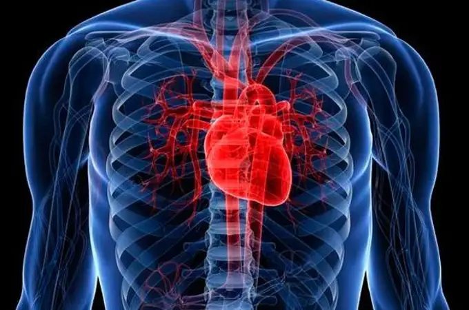 El futuro de la cirugía cardiaca: operar sin bisturí