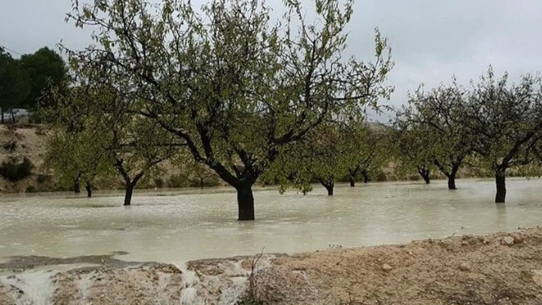 La crecida del río Mula provocó inundaciones y el corte de una carretera
