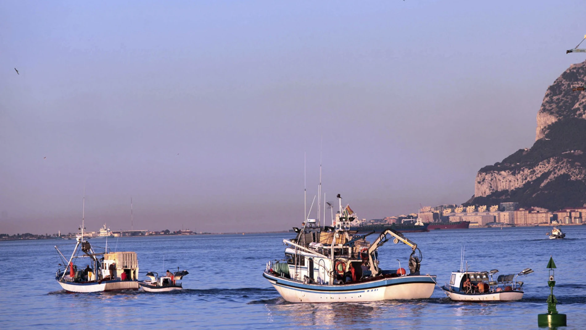 Pesqueros del puerto de Algeciras