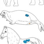 Posición de los testículos en un caballo, una foca y un elefante. / Sharma et al.