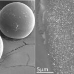 ista de una de las microcápsulas de resina (izquierda) en la que se encuentran protegidas las nanopartículas de oro (que se ven como puntos brillantes en la ampliación de la foto derecha). En el recuadro de la esquina se muestra una nanopartícula individual