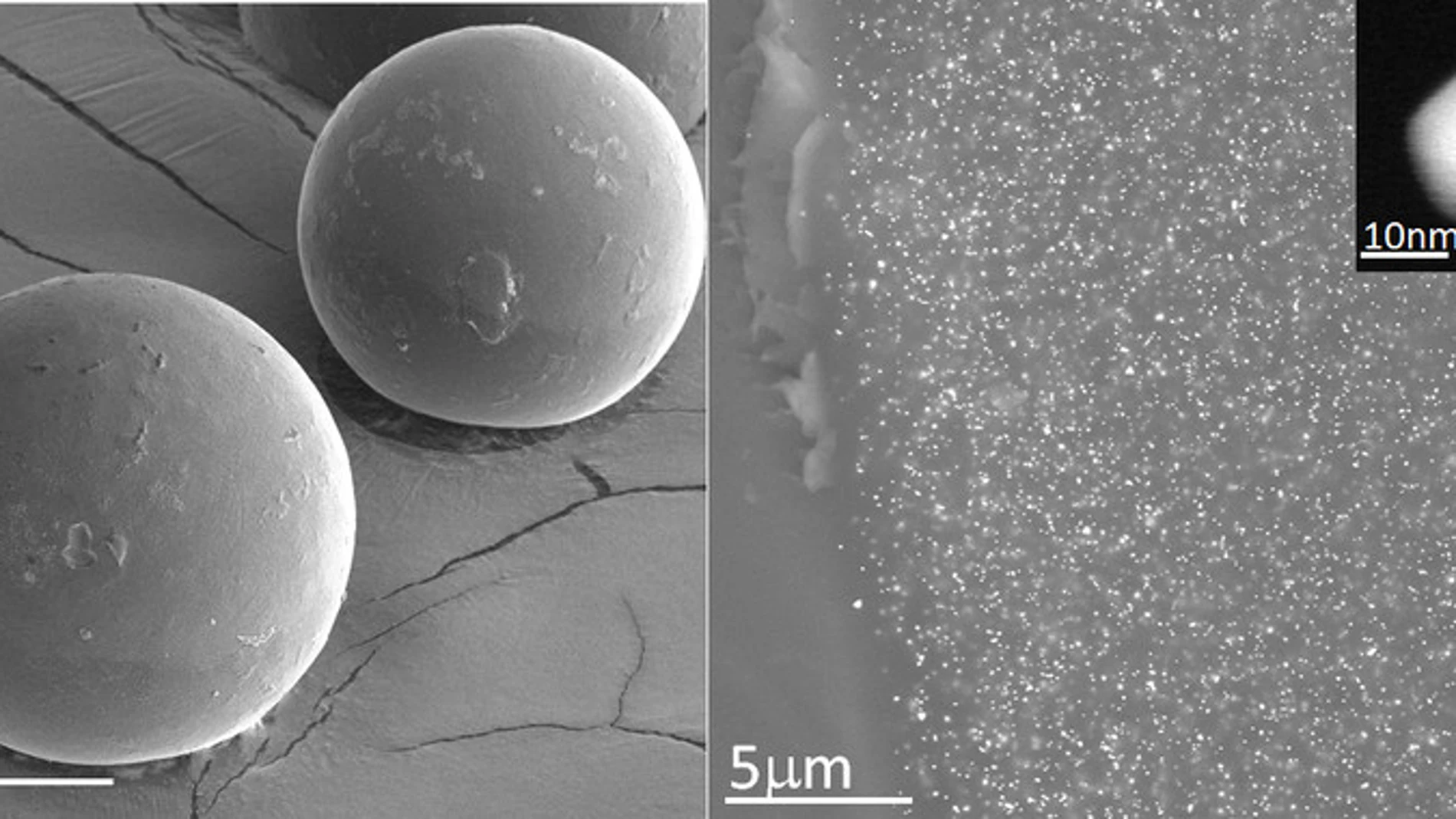 ista de una de las microcápsulas de resina (izquierda) en la que se encuentran protegidas las nanopartículas de oro (que se ven como puntos brillantes en la ampliación de la foto derecha). En el recuadro de la esquina se muestra una nanopartícula individual