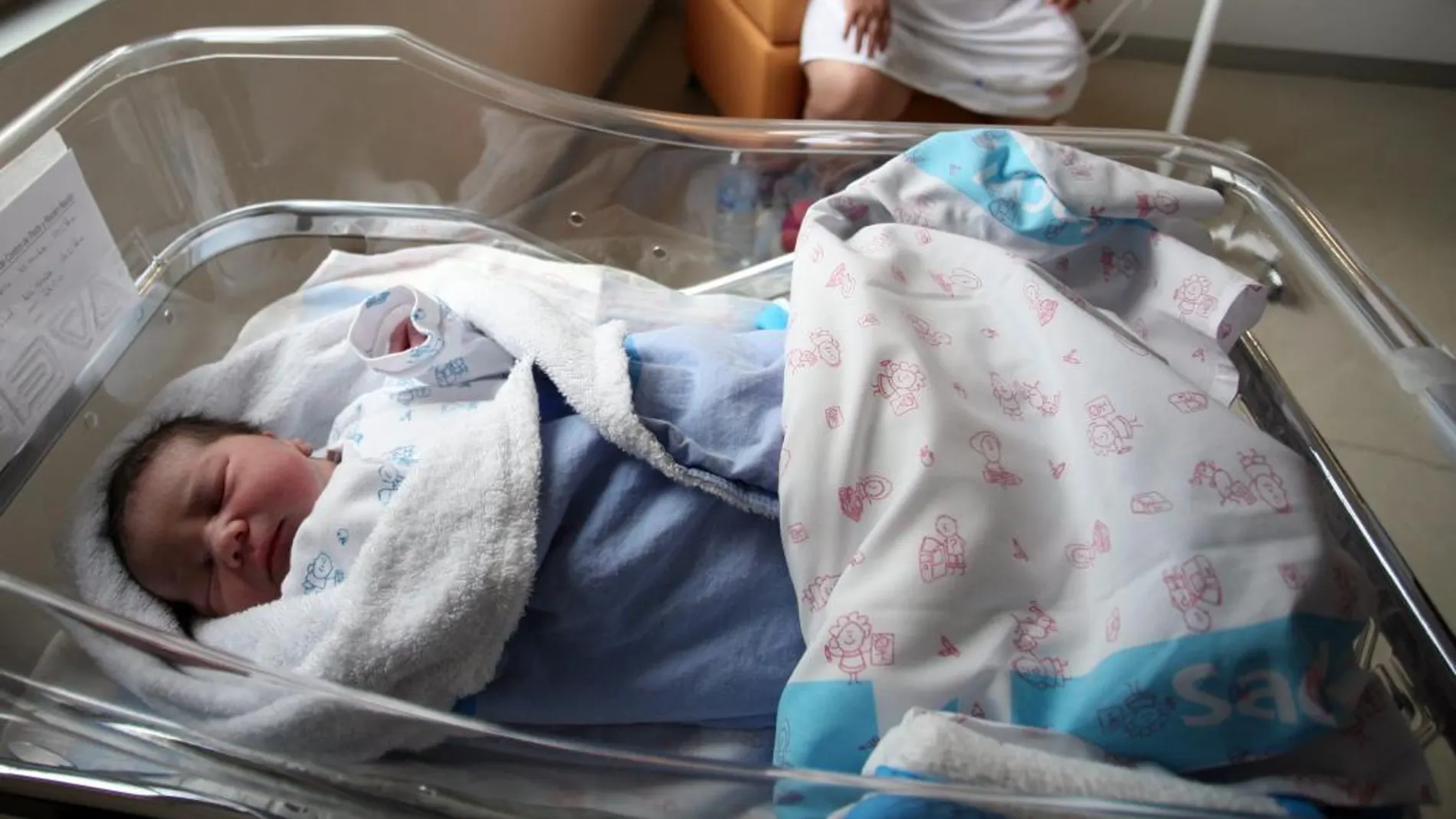 Uno de los bebés nacidos durante este año en la provincia de Soria