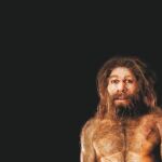 ¿Qué pueden enseñarnos los genes de un neandertal?