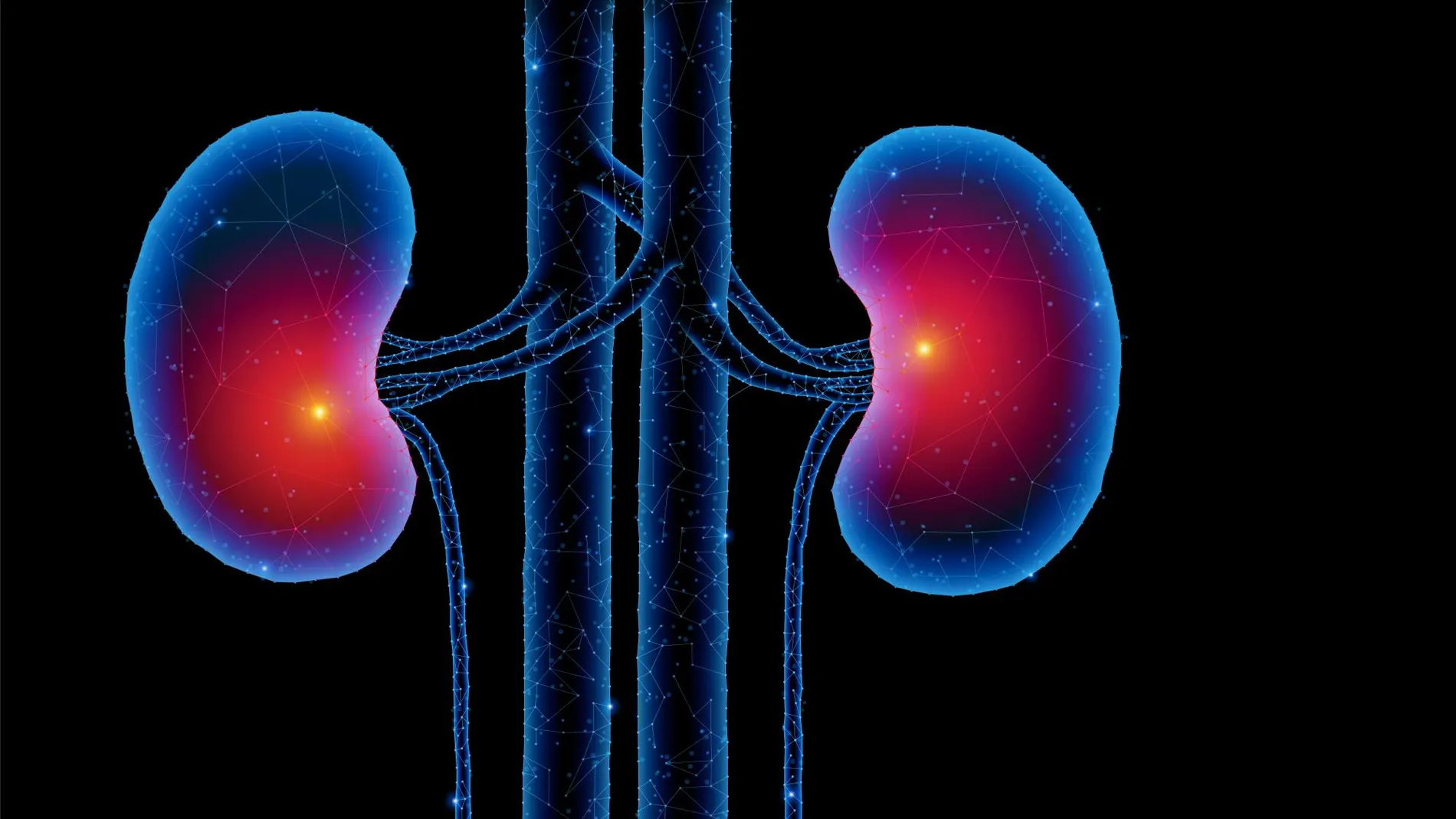 ¡Ojo con la enfermedad renal crónica en España!, una patología silenciosa y desconocida por muchos, pero que cada vez mata más