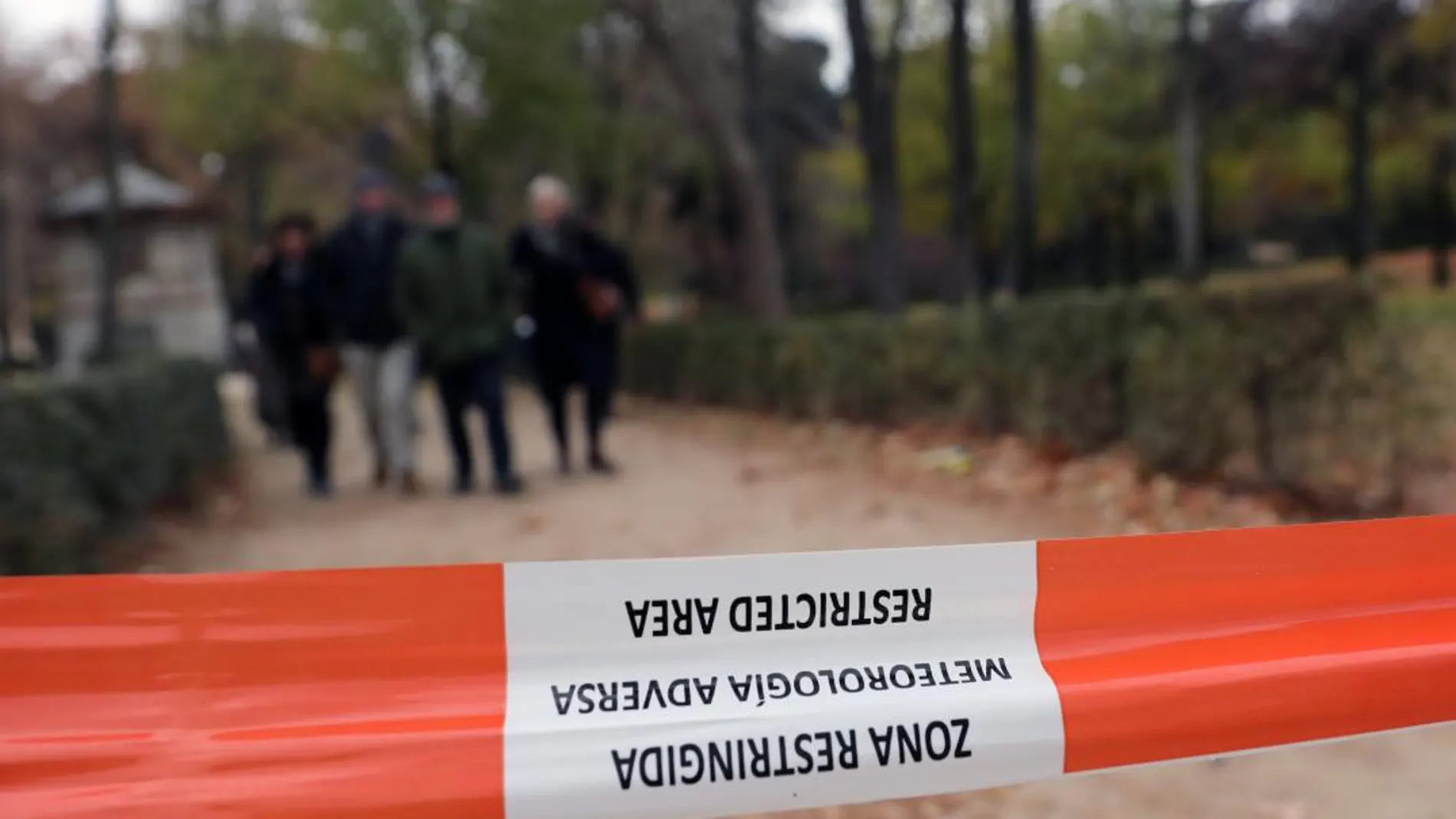 Bomberos y SAMUR estarán avisados por si es necesaria su presencia/Luis Díaz