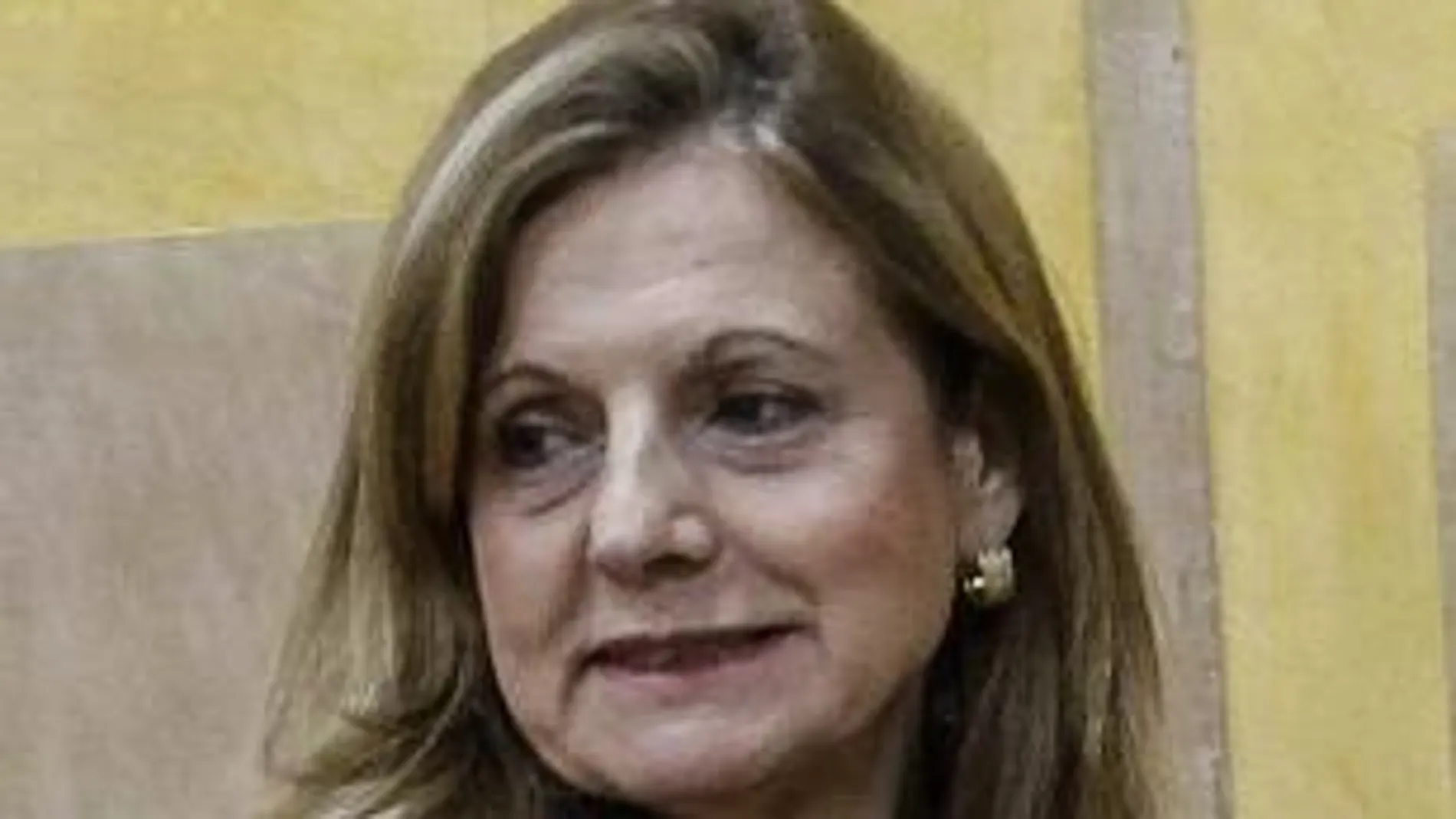La consejera Marina Álvarez