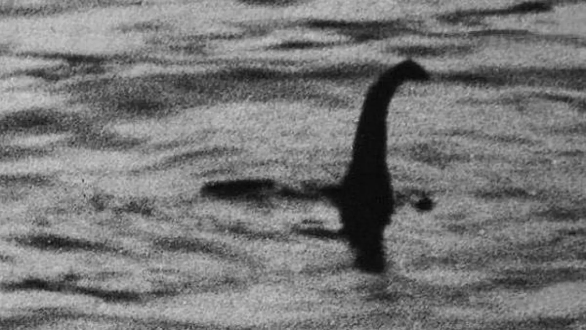 Una de las primeras imágenes captadas del supuesto monstruo del Lago Ness