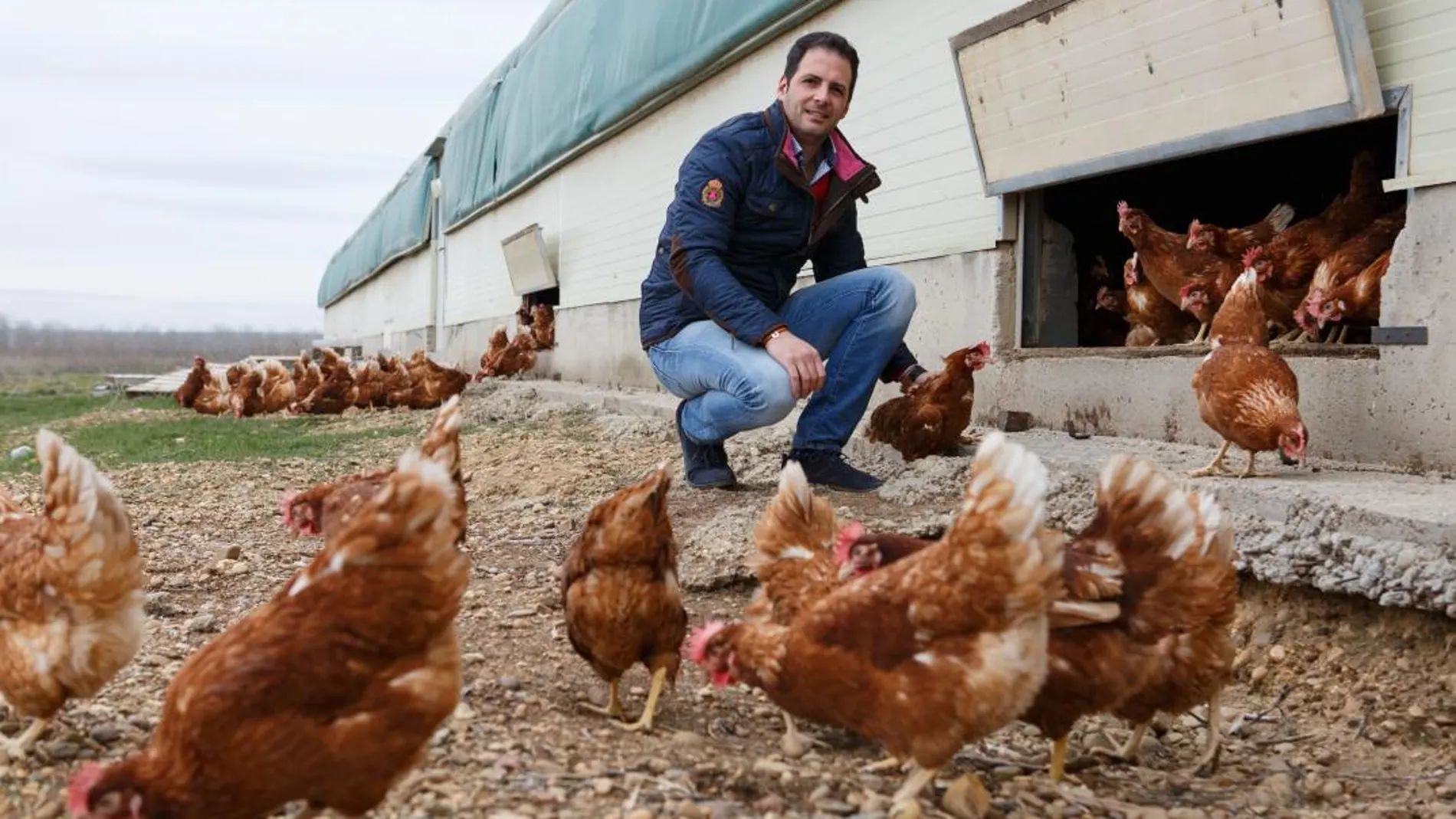 Jesús Ciria, gerente de la explotación avícola de huevos camperos La Cañada Soriana situada en Aldealfuente (Soria)