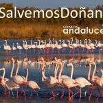 Piden en el Parlamento europeo la paralización de los trabajos de Gas Natural en Doñana