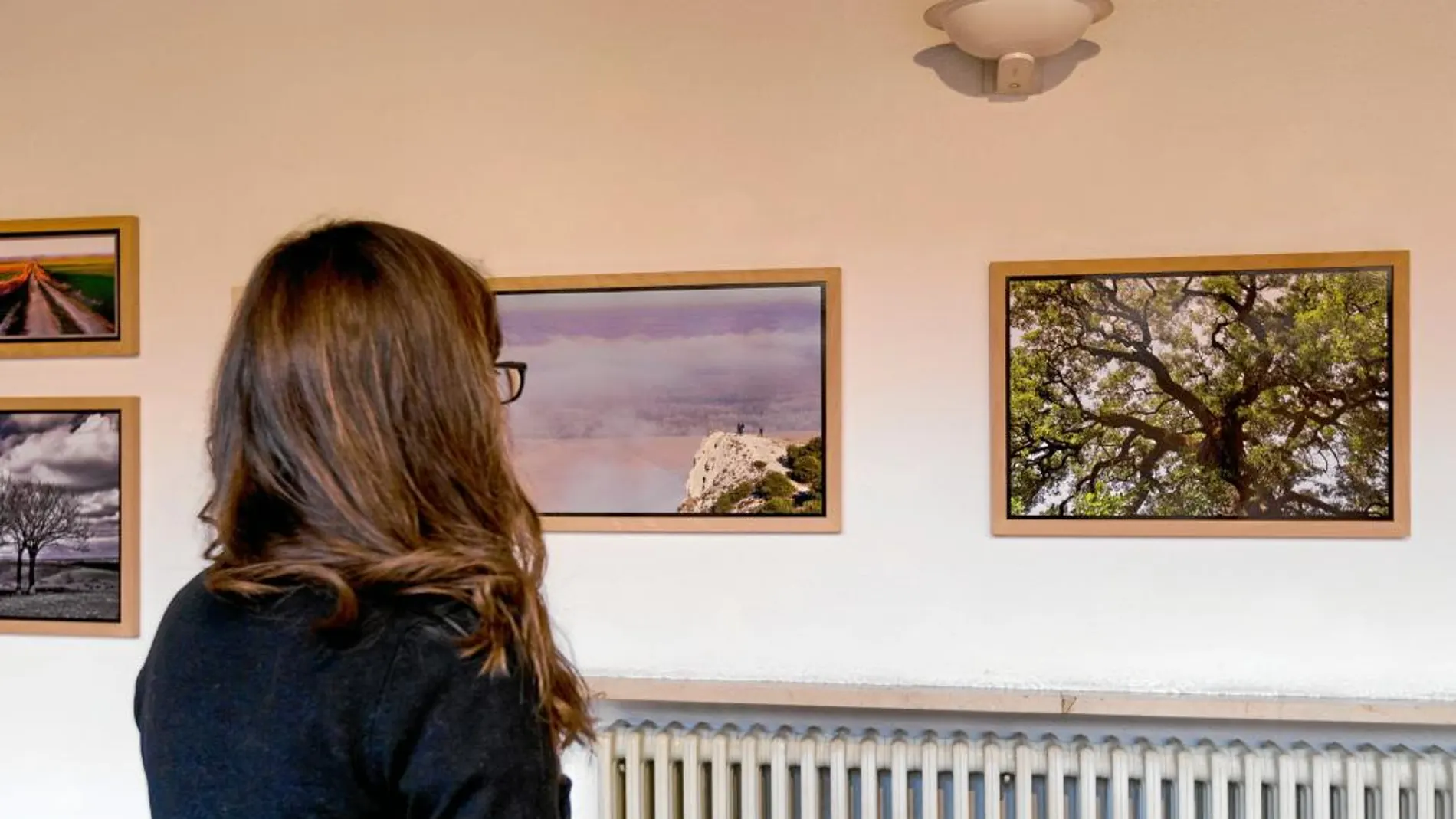 Una joven visita la exposición «Naturaleza Infinita» expuesta en el Palacio Pimentel de Valladolid
