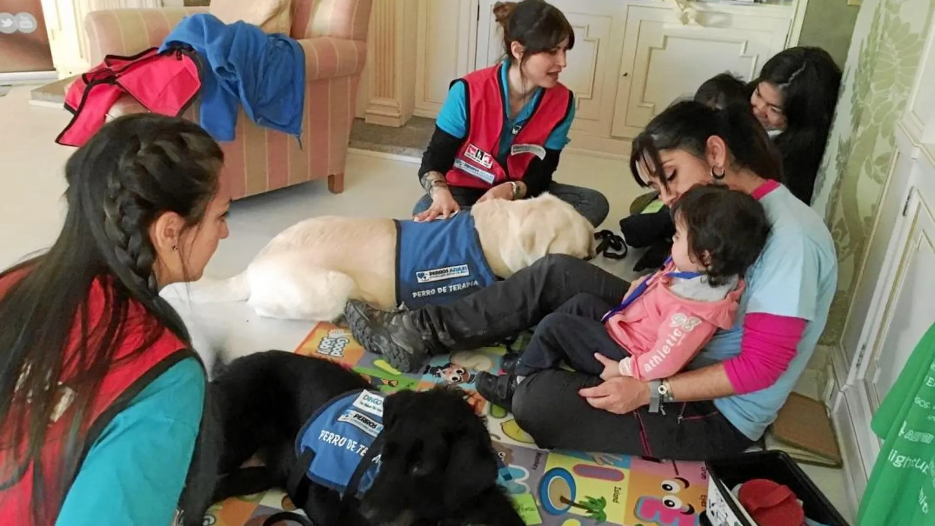 Los datos del proyecto «Un perro, un niño feliz» se utilizarán para enfocar la colaboración de estos animales en otros tipos de problemática social