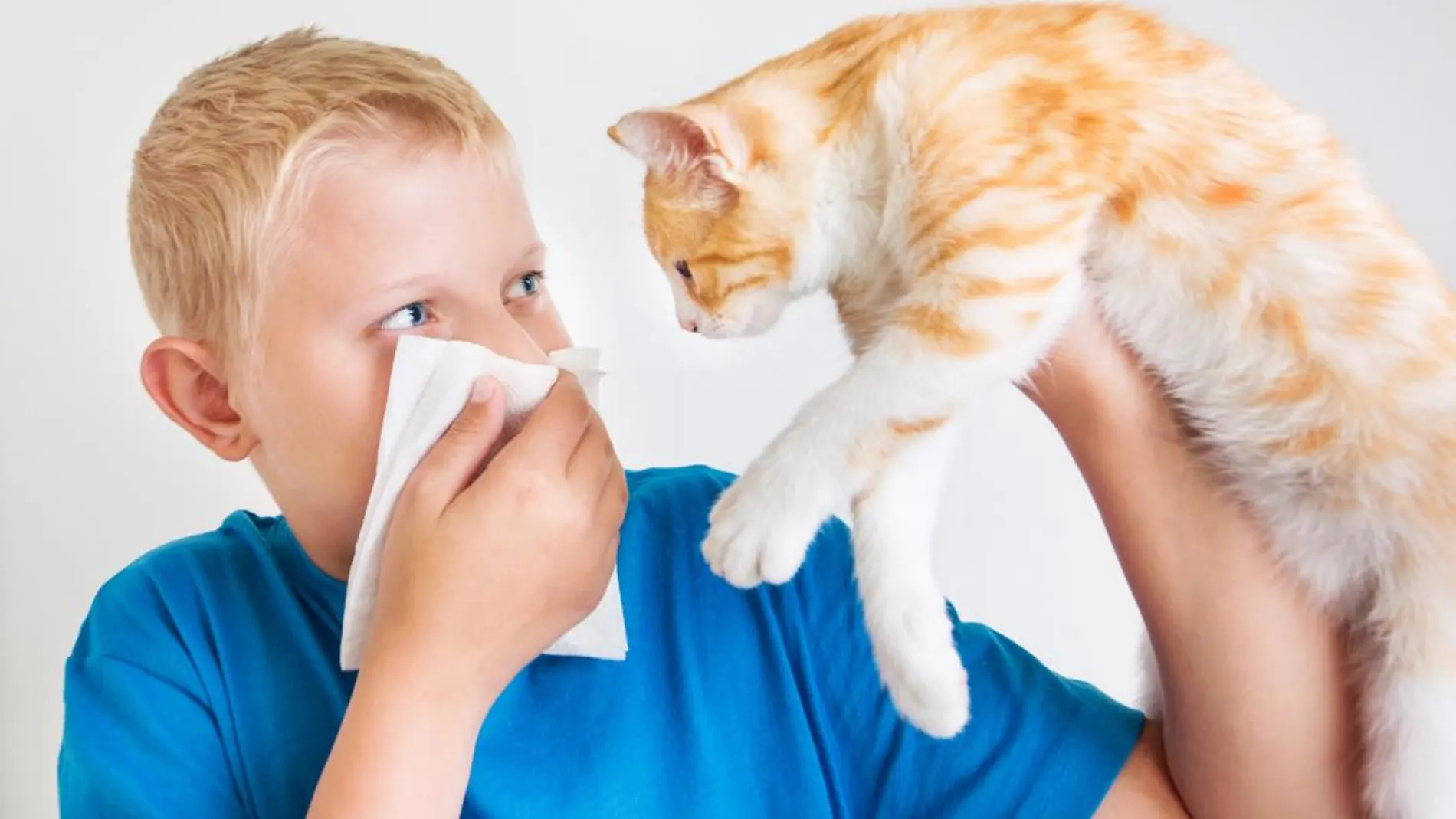 Alergia a mascotas: la ‘cara b’ de tu amigo más fiel