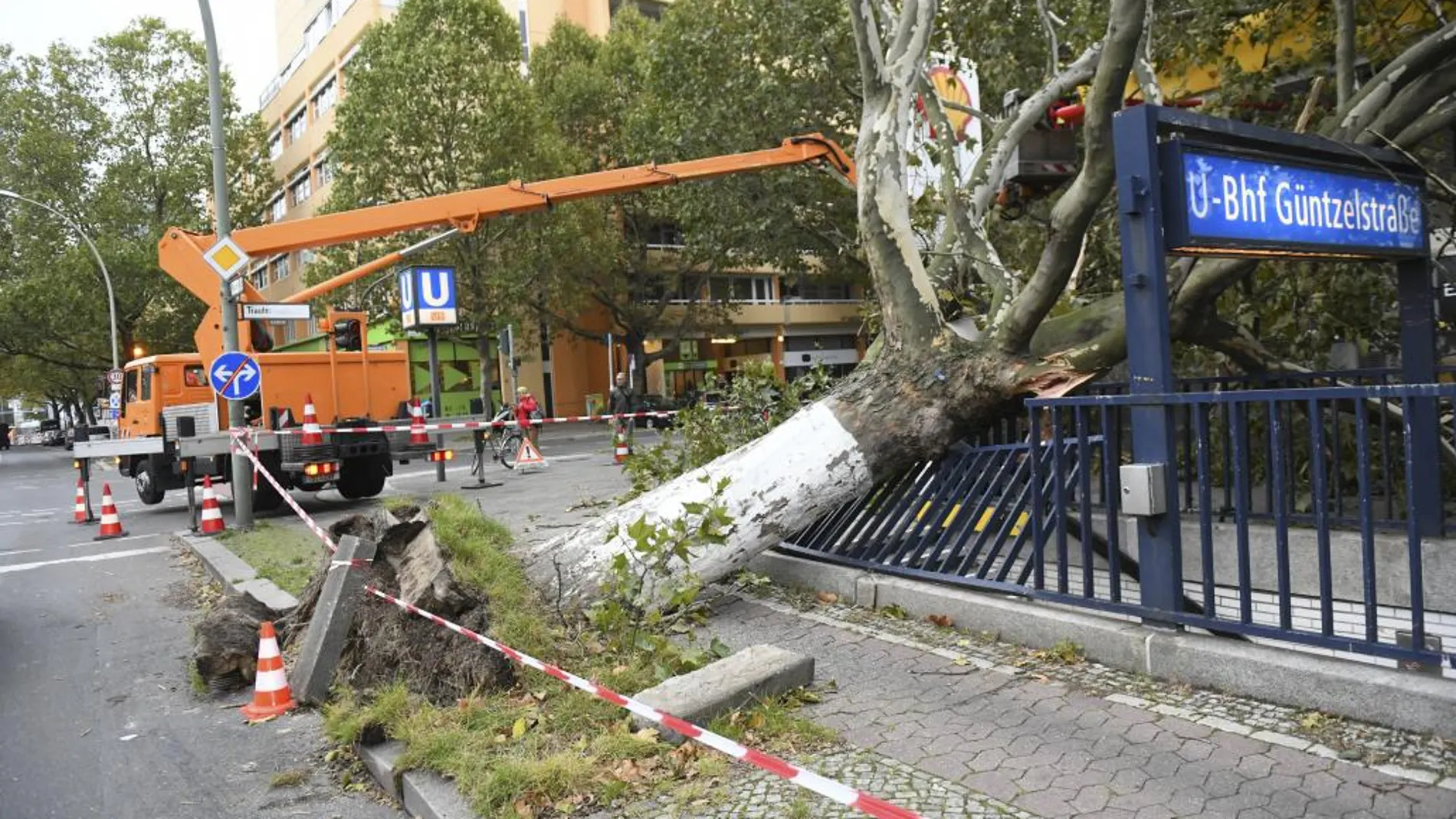 El temporal arrancó de raíz numerosos arboles en toda la región de Berlín