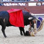 El mexicano Sergio Flores resultó herido por el primero de la tarde, el toro de su confirmación en Las Ventas