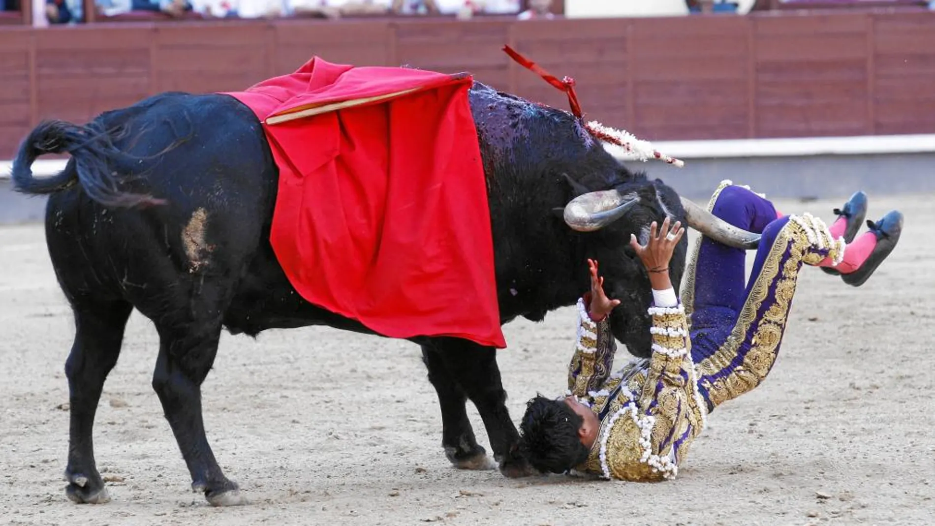 El mexicano Sergio Flores resultó herido por el primero de la tarde, el toro de su confirmación en Las Ventas