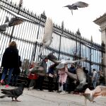 Un grupo de turistas se encuentra con las puertas cerradas del madrileño parque del Retiro