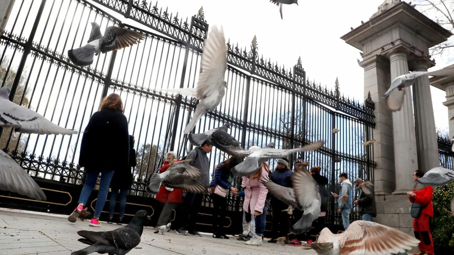 Un grupo de turistas se encuentra con las puertas cerradas del madrileño parque del Retiro