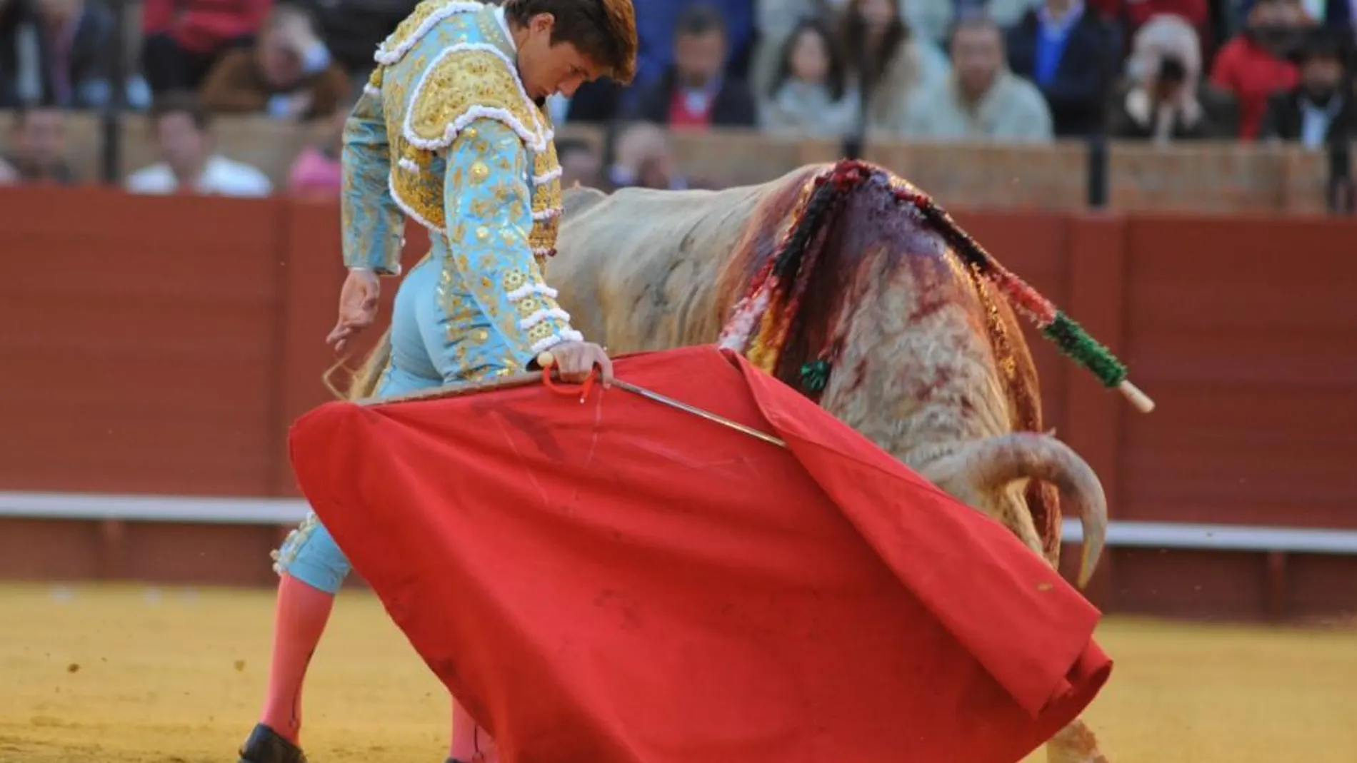 Lama de Góngora, en Sevilla