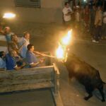 Un toro embolado durante un festejo taurino