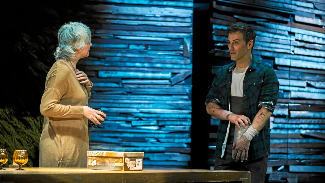 «Tom en la granja» La suma de muchos fallos