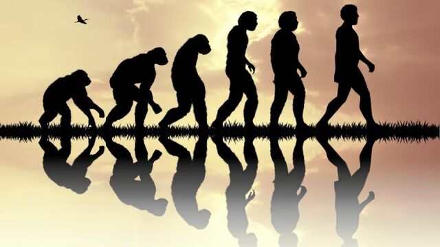 El ADN reescribe la historia del ser humano