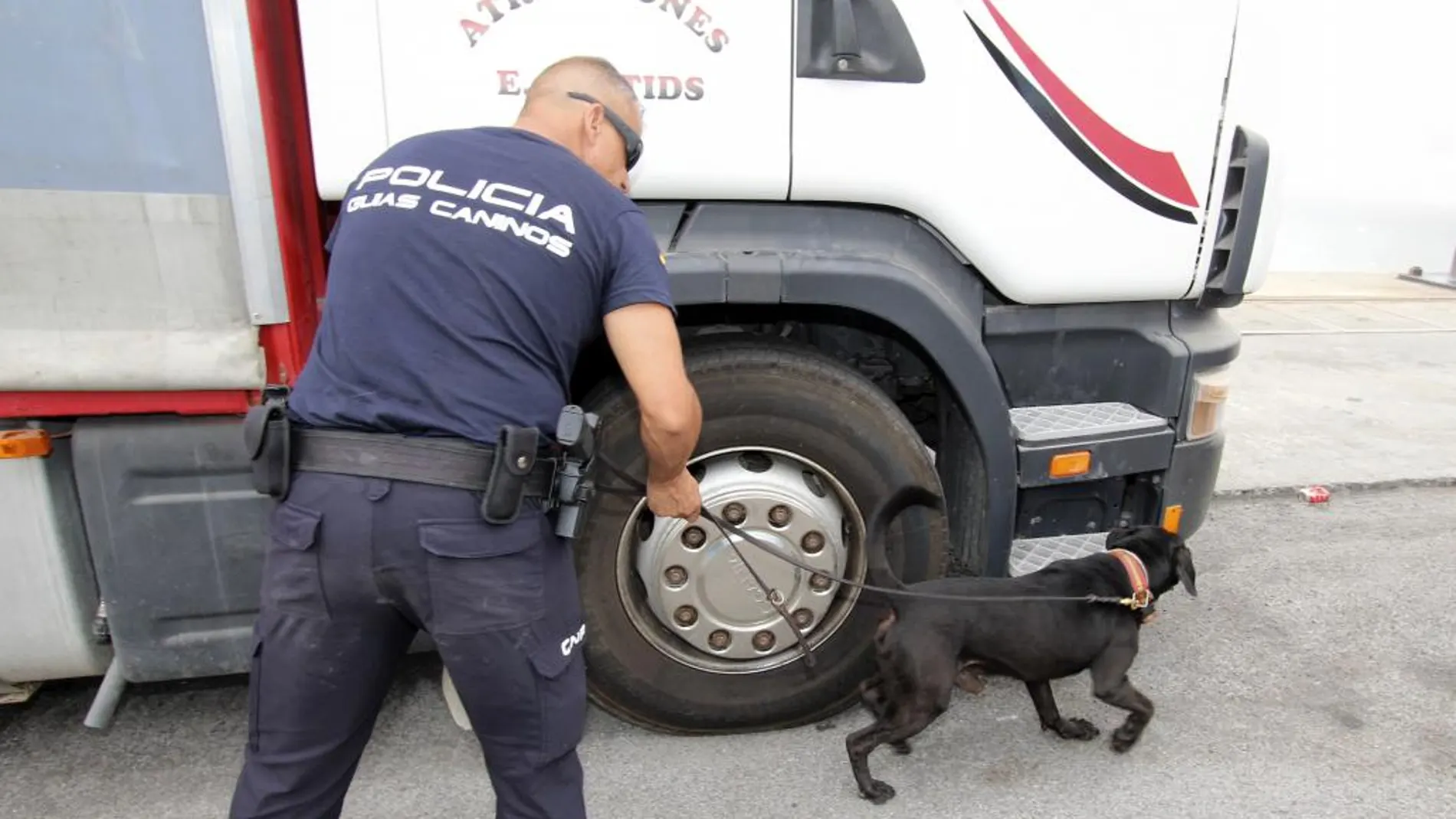 Un agente con un perro policía durante los registros en un camión en Ceuta