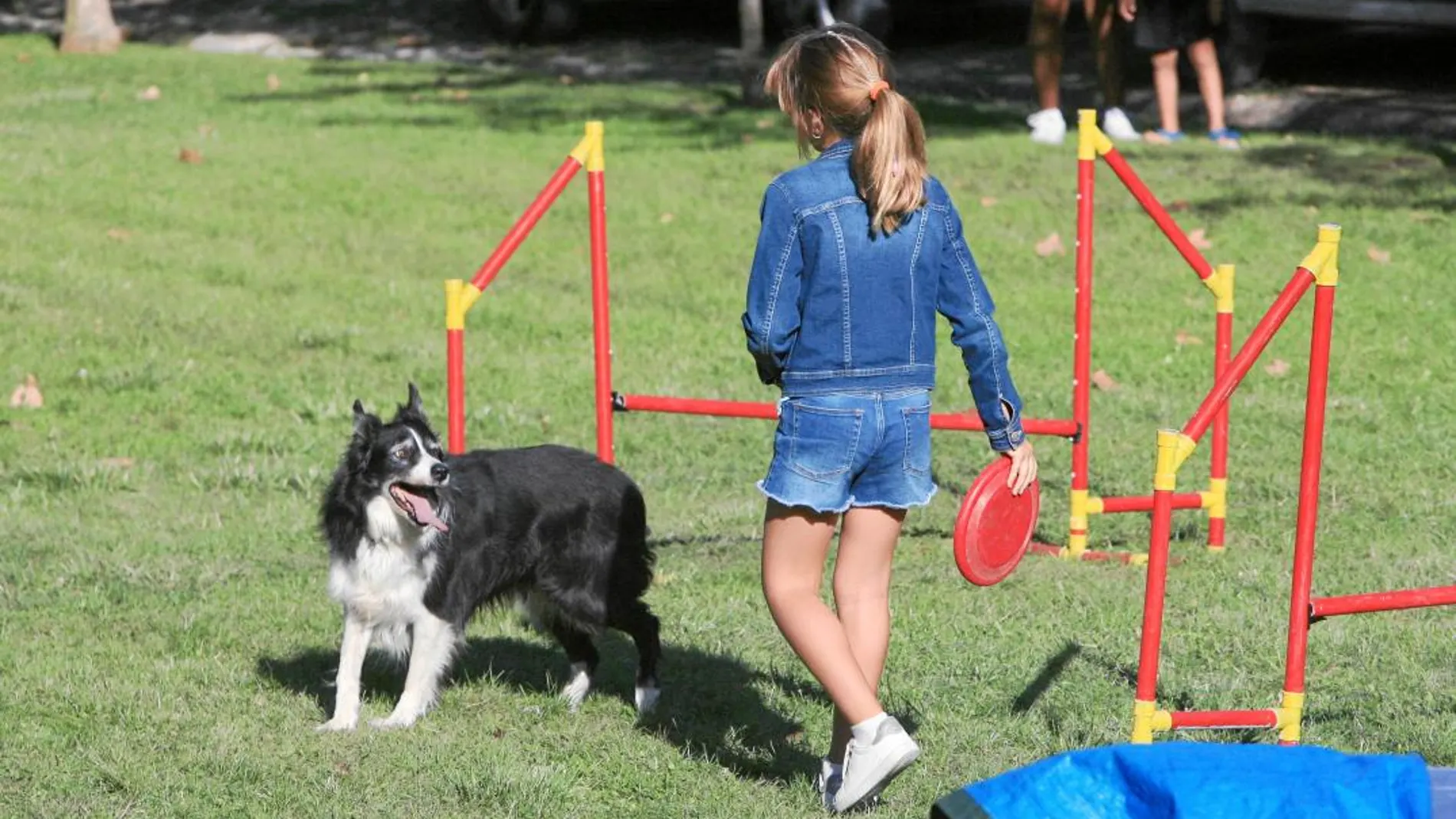 «Familia canina»: Un programa municipal que reeduca a los perros para disfrutar de su compañía
