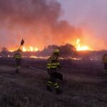 Un grupo de operarios trabaja en las labores de extinción del incendio entre las localidades de Medinilla y Gilbuena, en Ávila.