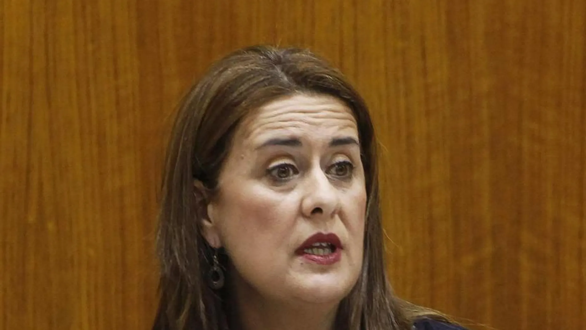 La consejera de Educación, Sonia Gaya, en una reciente comparecencia parlamentaria