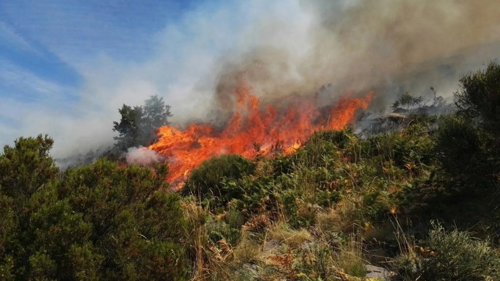 Fotografía facilitada por la Asociación Natura 2000 de uno de los focos del fuego.