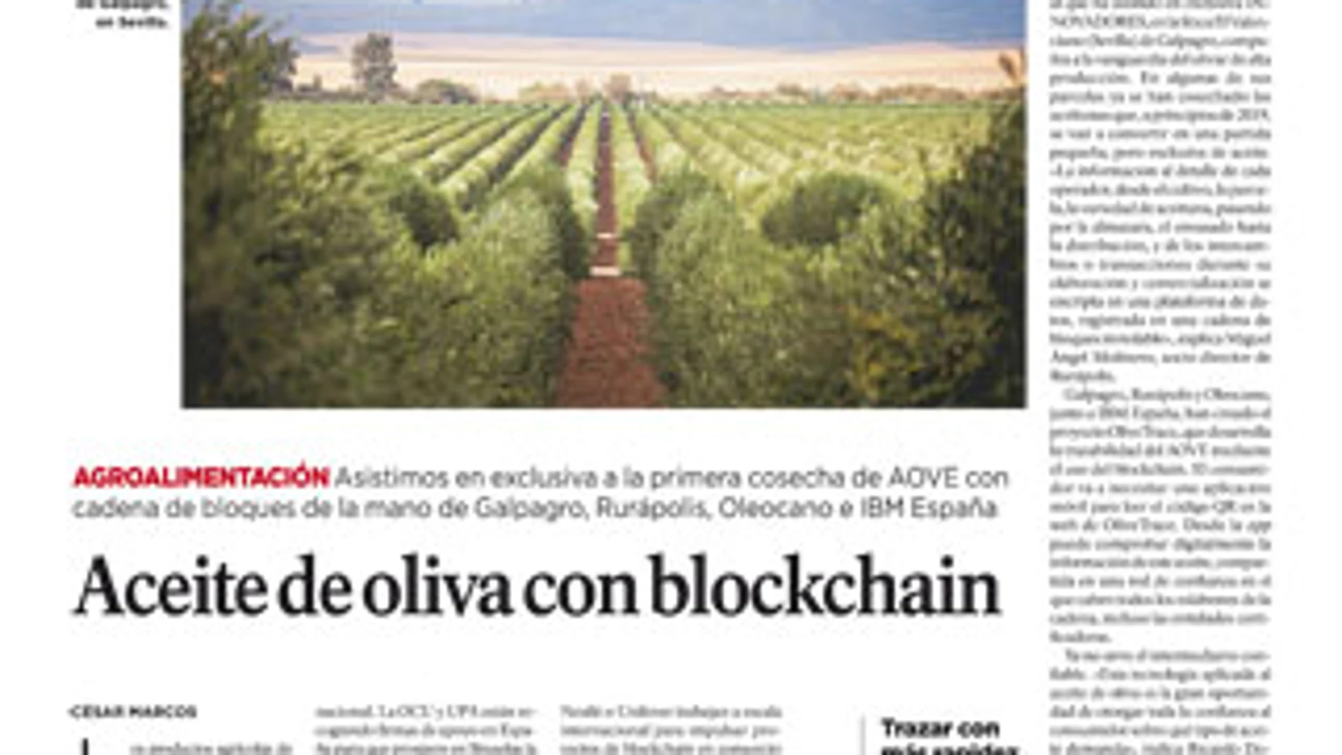 Innovadores Nº 39