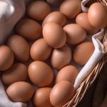 Cataluña retira una partida de 50 kilos de huevos contaminados con fipronil