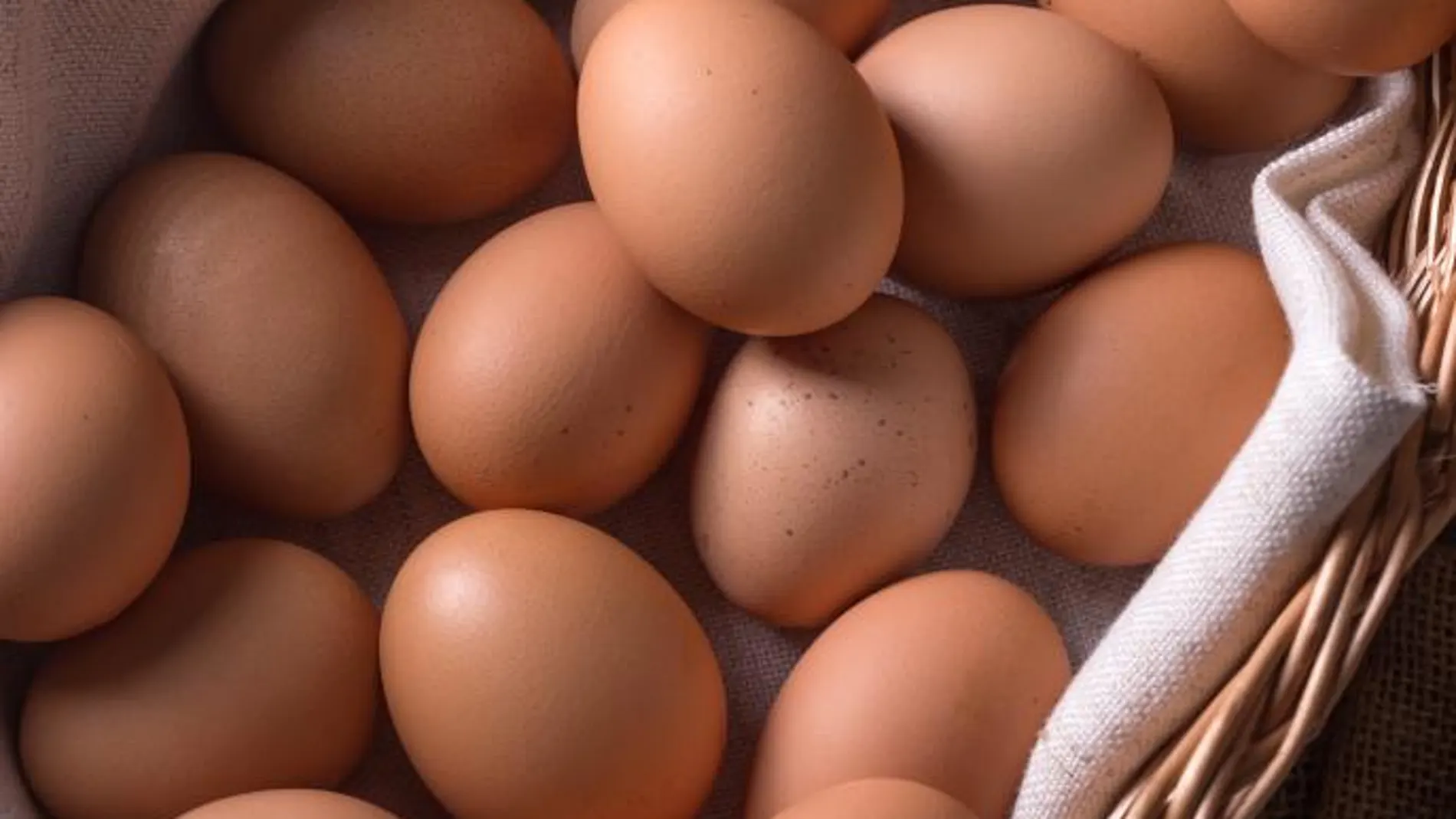 Cataluña retira una partida de 50 kilos de huevos contaminados con fipronil