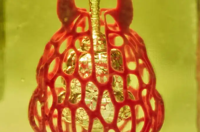 Un colorante alimentario para imprimir órganos en 3D