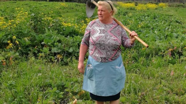 El Gobierno regional prepara un Plan para eliminar la Brecha Salarial existente en el mundo rural, sector sobre el que destaca el trabajo de las mujeres en la Región que la posiciona como la segunda comunidad con más empleadas de España