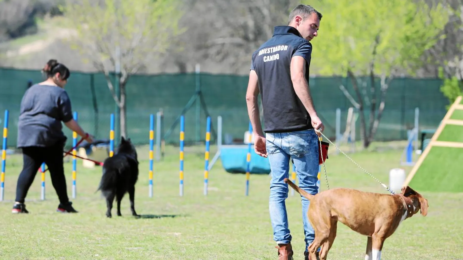 Los animales pasan por un proceso de adiestramiento antes de realizar labores de protección integral