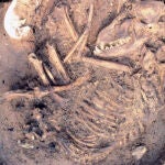 Perro enterrado en el yacimiento de Koster en Illinois con una antigüedad de 10.000 años. / Del Baston, cortesía del Center for American Archaeology
