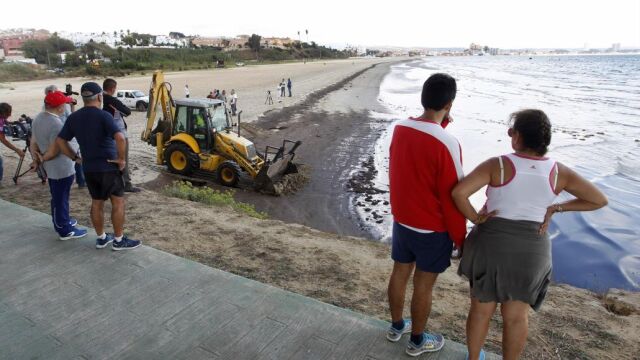 Una excavadora recoge el vertido en la arena de la playa de la Concha en Algeciras
