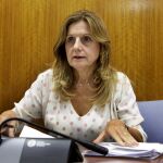 La consejera de Salud, Marina Álvarez, ayer en el Parlamento andaluz