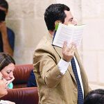 Pleno en el Parlamento
