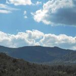 El Valle de los Caídos tiene la calificación de lugar de culto, por lo que es competencia de la autoridad eclesiástica / Alberto R. Roldán