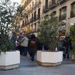 Varios de los grandes maceteros situados al final de la calle Preciados en Madrid.