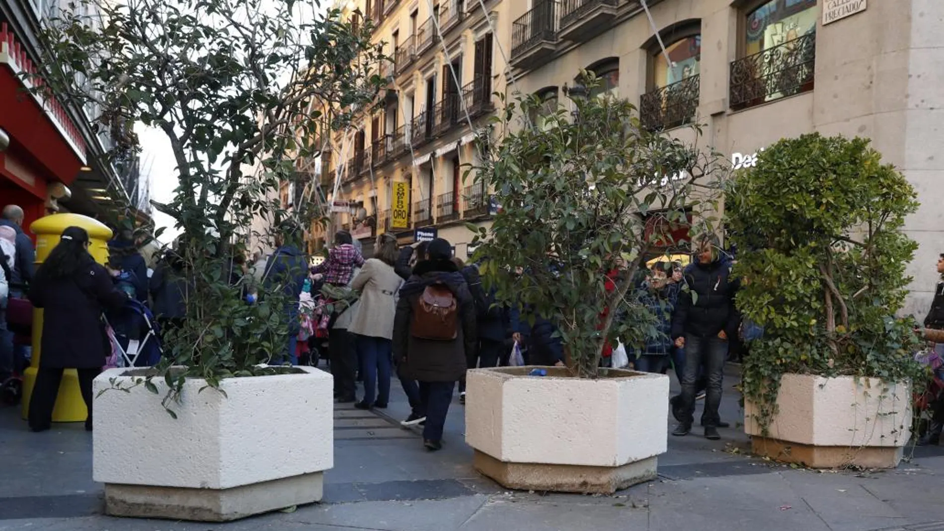 Varios de los grandes maceteros situados al final de la calle Preciados en Madrid.