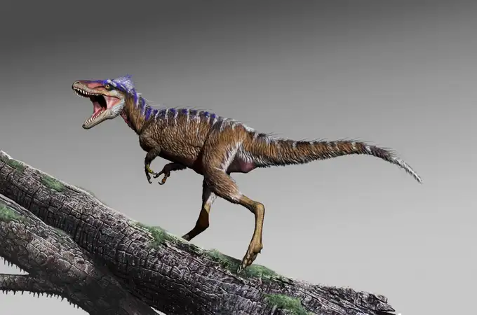 Existió un mini Tiranosaurio Rex